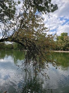 Foto von Marianna Tóth entlang der Tour
