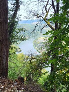 Foto da yolanda beck lungo il tour