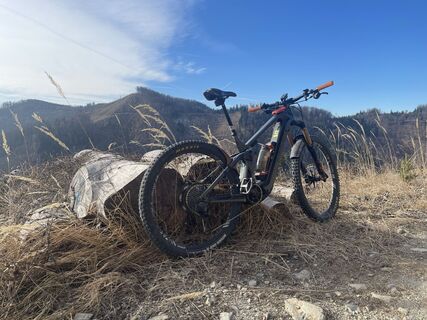 Foto von firebird 93 entlang der Tour
