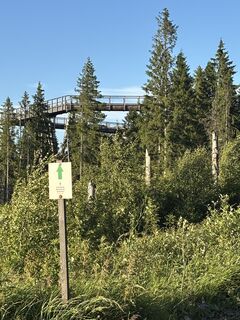 Foto von Gabriel Wrona entlang der Tour