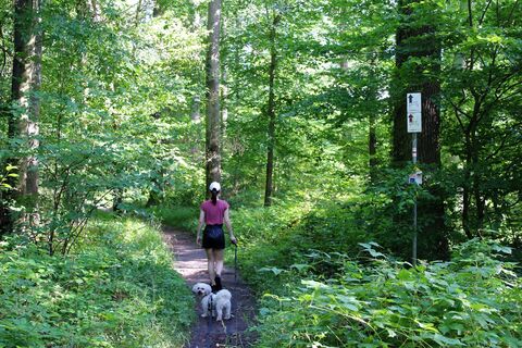Waldweg auf dem Brettwald Trail - noch 2,1 km bis zum Ziel am Thermarium Bad Schönborn