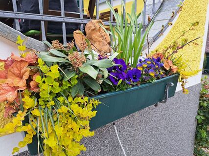 Foto von Karin F. entlang der Tour