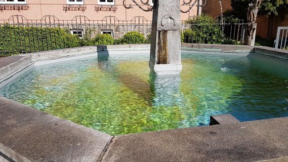 Der Karbrunnen