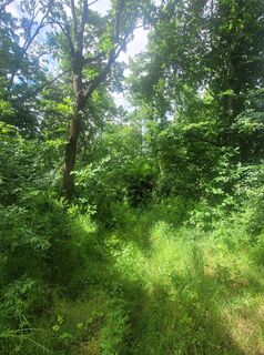 Foto von George50 entlang der Tour