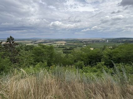 Photo de Anca Dolete le long du parcours