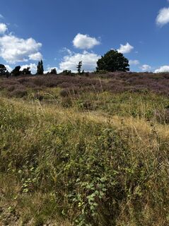 Fotografie z Jan Düber na trase