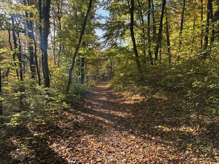 Photo de Martin1967 le long du parcours