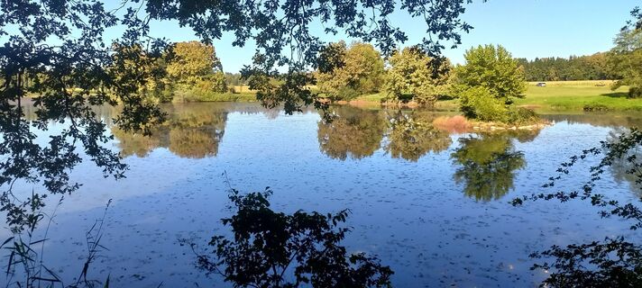 Fotografia z H h na trase