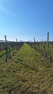 Foto von erwinso entlang der Tour