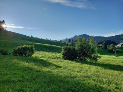 Photo de Matthias Zimmermann le long du parcours