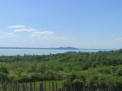 Photo de Làszló Visi le long du parcours
