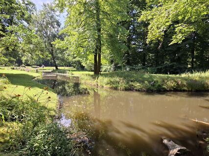 Photo de nordbergschnecke le long du parcours