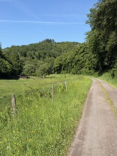 Photo de Guntram Hepperle le long du parcours