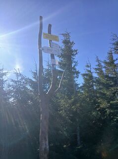 Photo de Daniel Kremiec le long du parcours