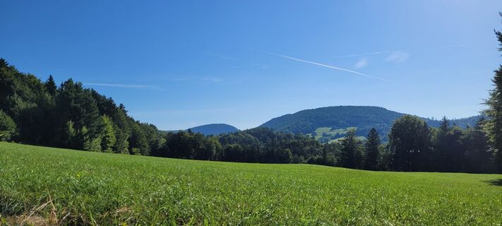 Foto von Nicky entlang der Tour