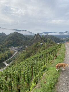 Foto von Norbert entlang der Tour