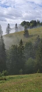 Fotografija s spletne strani Fred na poti