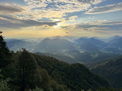 Foto von Natur_erleben_dg entlang der Tour