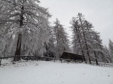 Photo de Karin Preghenella le long du parcours