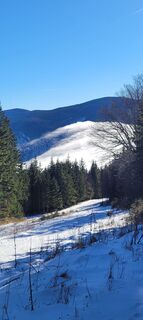 Foto von Nicky entlang der Tour