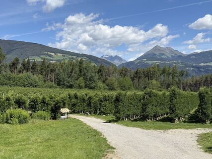Foto de Oliver Strnad a lo largo del recorrido