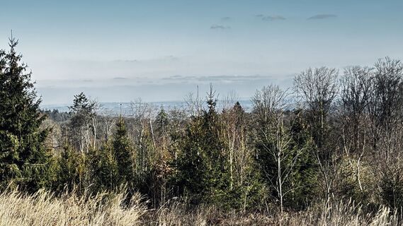 Foto von Klaus Tillmanns entlang der Tour