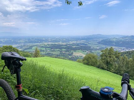 remschniggalm - wein, alm und mehr._img_53249551