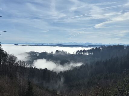 Foto von hannes Zederbauer entlang der Tour
