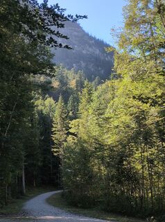 Photo de Marco Weiß le long du parcours