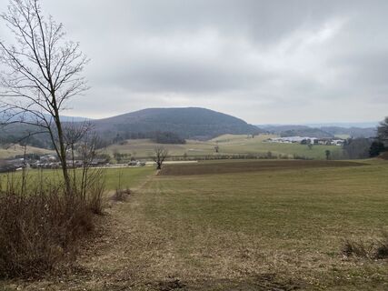 Foto de Benediktus_prim a lo largo del recorrido