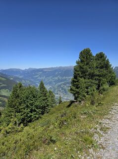 Foto von Steven Karolien Taghon Leroy entlang der Tour