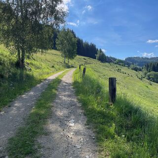 Auffahrt zur Hoferhütte