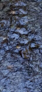 Fotografia z Bergpirat na trase