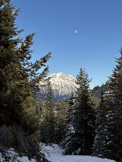 Foto von Grizzli entlang der Tour