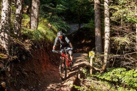 Hungerburg Trail.jpg