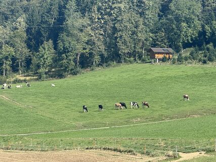 Foto de Dimitrinka suranyi a lo largo del recorrido
