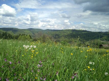 Aussichten in den Löwensteiner Bergen