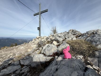 Zdjęcie z Natur_erleben_dg wzdłuż trasy
