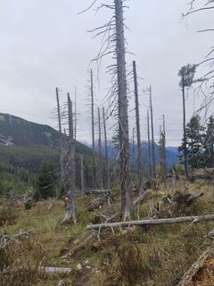 Foto von Edith K. entlang der Tour