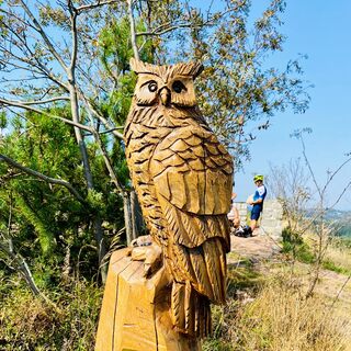 Uhu Figur auf dem Kahleberg