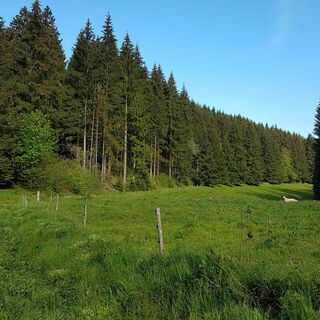 Rodebachtal