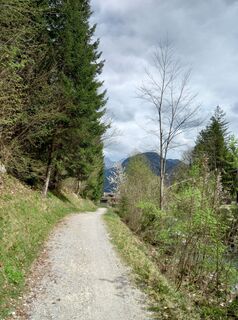 Photo de Tamás Kiss (Mr. Mojo) le long du parcours