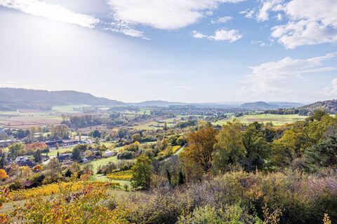 Ausblick auf den Schienerberg vom Galgenberg aus