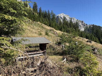 Foto von Stefanie Zopf entlang der Tour