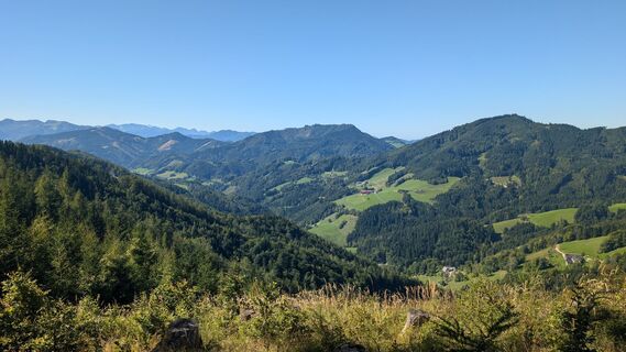 Foto da Klaus Lehner lungo il tour