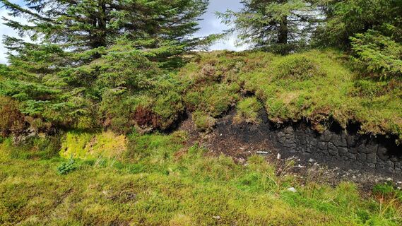 Foto de Ub a lo largo del recorrido