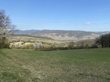 Fotografia z Attila Mihalcz na trase