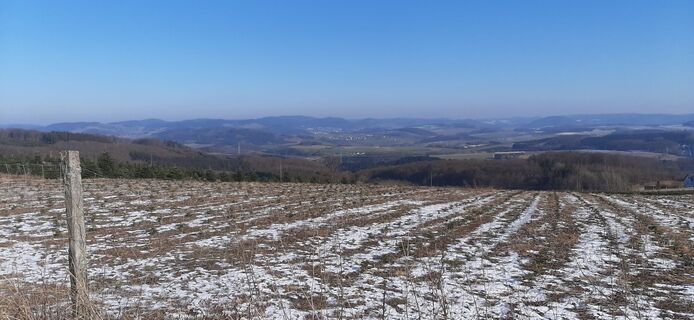 Photo de Georg Meisterjahn le long du parcours