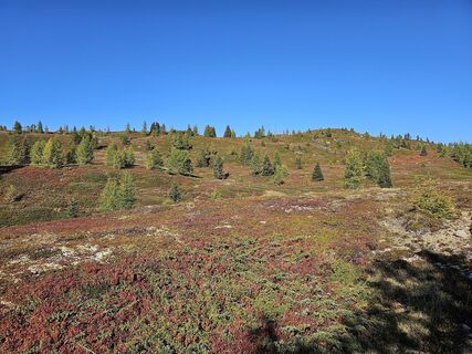 Foto von Christian Hutter 1 entlang der Tour