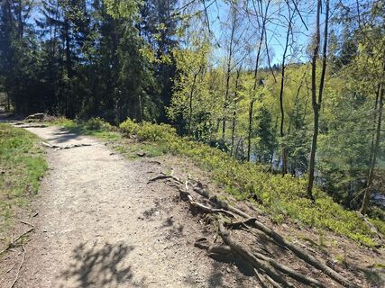 Foto von Sabine Krohn entlang der Tour
